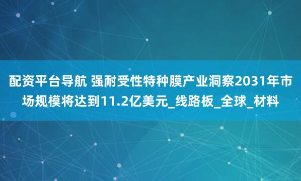 配资平台导航 强耐受性特种膜产业洞察2031年市场规模将达到11.2亿美元_线路板_全球_材料